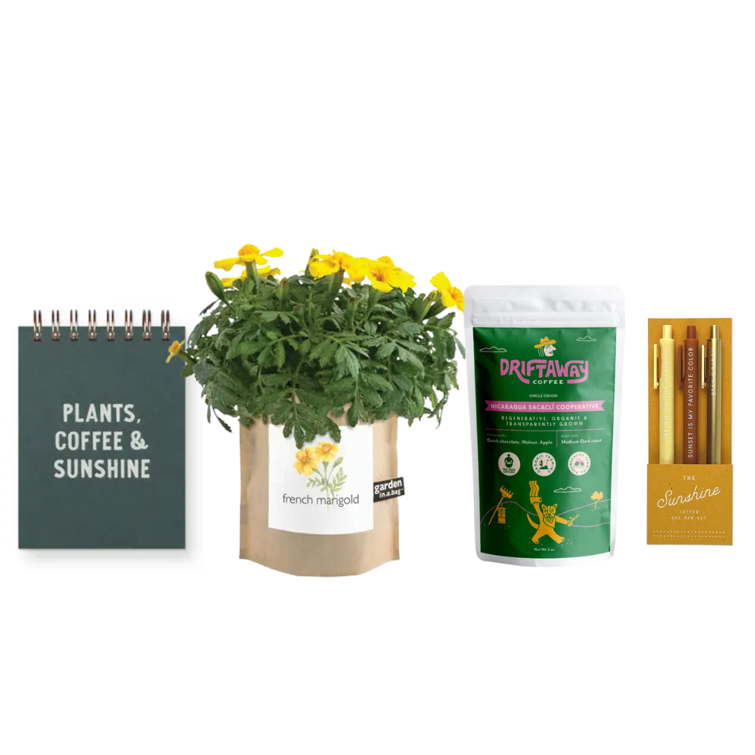 Plants, Sunshine + Coffee Bundle